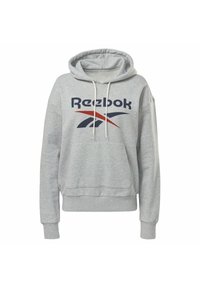 Reebok FRENCH TERRY ELEMENTS WORKOUT TRACK HOODIE - Hoodie - grey