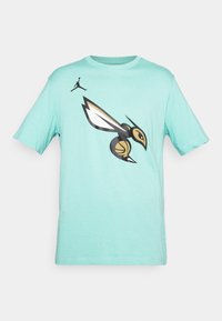 Gaiši tirkīza kokvilnas T-krekls ar melnu un zelta mušu grafiku un nelielu melnu Jumpman logotipu augšējā kreisajā stūrī. Klasisks apaļais kakla dizains.