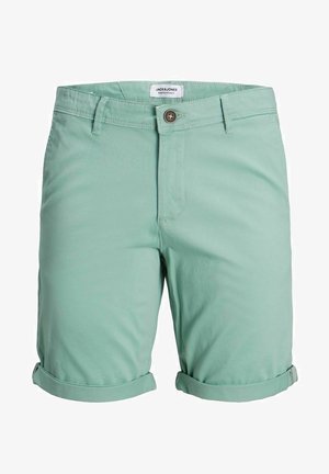 Minzgrüne Shorts aus Baumwollmischung mit Knopfverschluss, umgeschlagenen Säumen und einer einzelnen Gesäßtasche mit einfachem Design.
