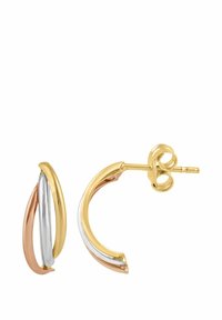 Náušnice s tromi prepletenými kruhmi v zlatej, striebornej a ružovozlatej farbe. Majú lesklý povrch a zapínanie na západku.