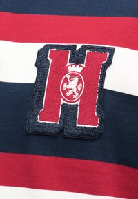 Ύφασμα με ρίγες κόκκινου, λευκού και ναυτικού μπλε, με κόκκινο πατς γράμμα "H" που φέρει στο κέντρο ένα λευκό λιοντάρι με στέμμα.