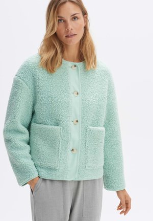 Veste texturée en vert menthe, fluffy, avec de grandes poches avant, boutons ronds crème et une coupe droite. Dotée d'une doublure douce.