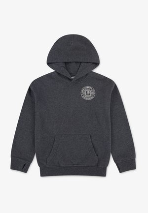 Abercrombie & Fitch FASHION HOODIE - Sweater - anthracite heather