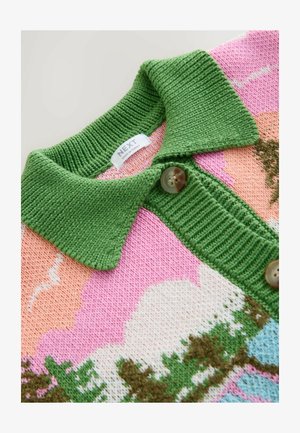 Adīts džemperis ar zaļu apkakli, priekšpusē rozā un persiku krāsas fonā koku raksti. Centra daļā ir pogas; kakla izgriezumā ir redzama etiķete.
