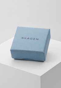 Boîte rectangulaire bleu clair en papier texturé, portant le nom de la marque "SKAGEN" imprimé en noir sur la surface supérieure.