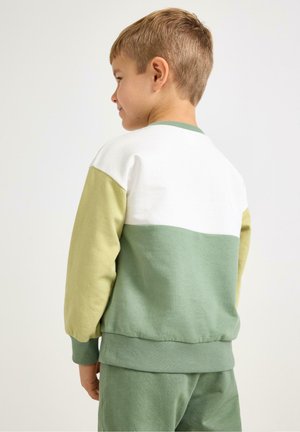 Zelený a bílý svetr s dlouhými rukávy, žebrovaným výstřihem a manžetami, vyrobený z měkké bavlny.