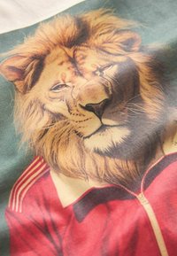 Next SHORT SLEEVE GRAPHIC STANDARD - Trükipildiga T-särk - stone football lion