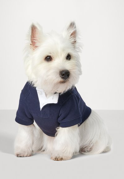 Chien blanc portant un polo bleu marine avec un col blanc. Son pelage est fluffy et long, avec un visage arrondi et de grands yeux sombres.