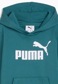 Sweat à capuche bleu sarcelle en tissu mélangé coton avec une poche kangourou. Doté d'un grand logo "PUMA" blanc et d'un graphisme de puma sautant imprimé à l'avant.