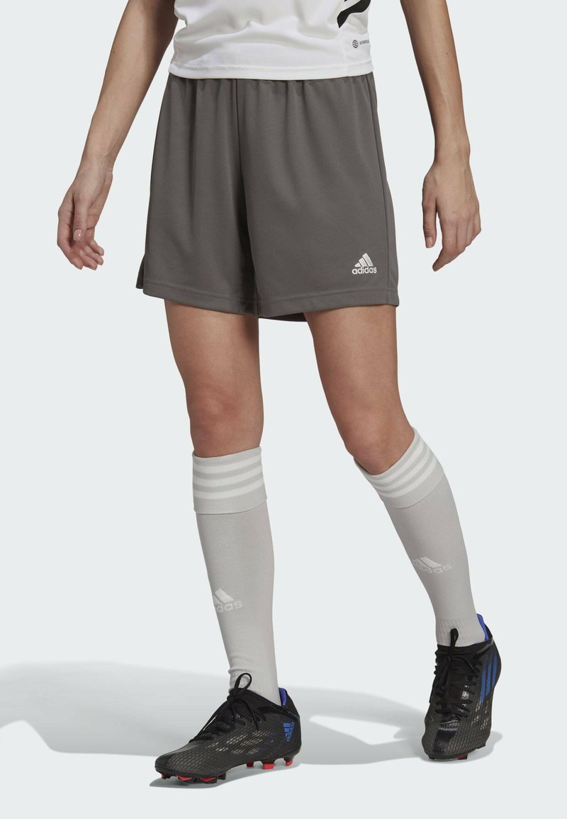 adidas Performance ENT22 SHO LW - Korte broeken - grey