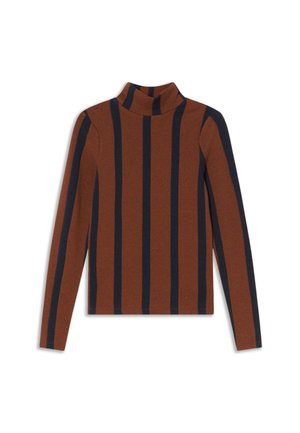 Pull en col roulé marron avec des rayures verticales bleu marine, manches longues, design ajusté et texture douce. Pas de motifs ou accents supplémentaires.