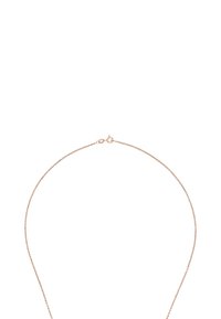 Halsband i roséguld med en delikat kedja, utrustad med en enkel spänne och en slät yta, designad för minimalistic elegans.