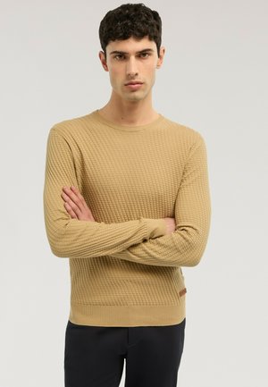 Młody mężczyzna o ciemnych kręconych włosach, ubrany w beżowy, teksturowany sweter z dzianiny i czarne spodnie, stojący z założonymi ramionami na białym tle.