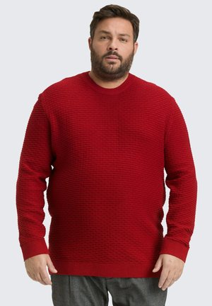 PLUS SIZE MIT RUNDHALSAUSSCHNITT - Trui - coach red