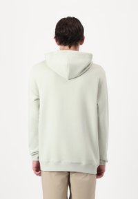 Hellgrünes Hoodie mit verstellbarem Kapuzenband, gerippten Bündchen und Bund. Weiche Textur mit lockerer Passform, von hinten betrachtet.