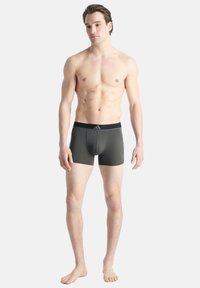 Männliche graue Boxershorts mit einem schwarzen elastischen Bündchen und dezentem Branding, figurbetontem Design und glatter Textur.