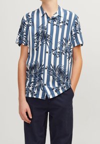 Koszula z krótkim rękawem z niebiesko-białymi paskami, z tropikalnym wzorem liści w ciemnoniebieskim kolorze. Wykonana z lekkiego materiału.
