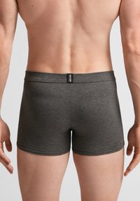 Graue Boxer-Shorts mit glatter Struktur, elastischem Bund und einem kleinen Logo-Tag auf der Rückseite. Einfaches Design, taillierter Schnitt.