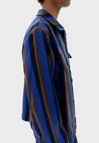 Gestreepte jas in blauw en bruin. Heeft een knoopsluiting, een puntige kraag en een gestructureerde stof met duidelijke verticale lijnen.