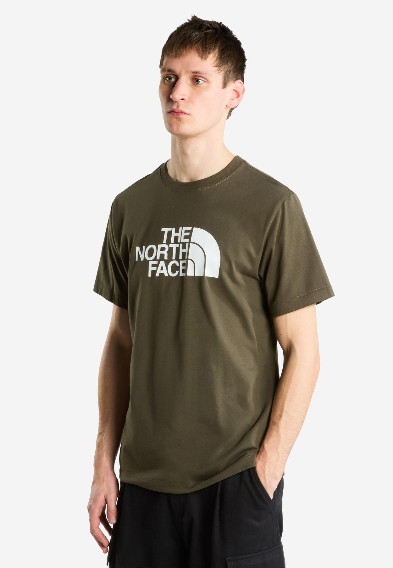 The North Face M EVOLUTION HALF DOME REGULAR SHORT SLEEVE TEE - Sports T-shirt - new taupe green