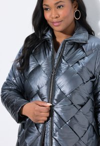 Gevoerde winterjas in metallic grijs, met een gewatteerd patroon, hoge kraag, ritsluiting en zijzakken. Gladde, glanzende textuur.