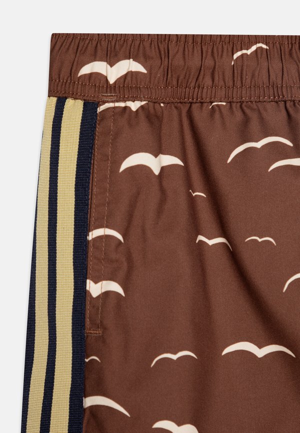 SEAGULL  - Swimming shorts3