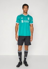 Grön fotbollströja med vita ränder, svart shorts och matchande strumpor med tre vita ränder. Inkluderar logotyp och sponsortext.