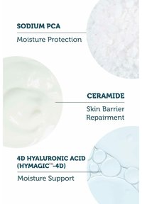 Miniatuurafbeelding 5