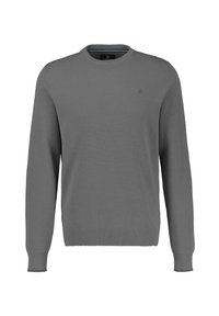 Grijze gebreide trui met ronde hals, gestructureerde stof, lange mouwen en een klein logo op de borst. Geribbelde manchetten en zoom.