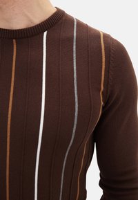 LC Waikiki Strickpullover - brown