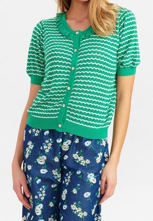 Groen kortmouwig vest met knopen en wit zigzagpatroon, gecombineerd met blauwe broek met bloemenprint, gedragen door een staande persoon.