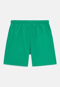 Zelené plavky zo svetlého materiálu. Majú elastický pás a voľný strih, vhodné na vodné aktivity.