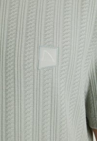 CHASIN' POINT - T-shirt basic - mid green