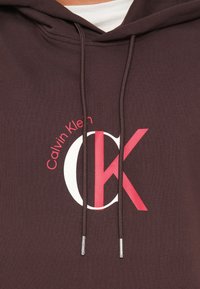 Calvin Klein Jeans GRAPHIC HOODIE - Φούτερ - rich brown