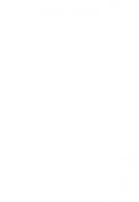 Witte keramische vaas met een gladde, glanzende afwerking. Heeft een taps toelopende vorm en een brede opening aan de bovenkant. Geen zichtbare patronen of accenten.