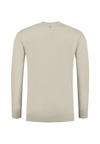 Beige gebreide trui met lange mouwen, ronde halslijn en ribgebreide manchetten en zoom. Gladde textuur, minimalistisch ontwerp en geen zichtbare patronen.