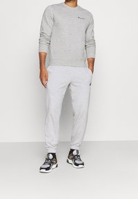 Champion Felpa - grey