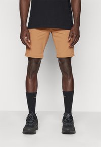 Mammut RUNBOLD ZIP OFF PANTS MEN - Hlače za na prostem - claystone