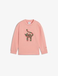 Pasirinkta, pink fruit