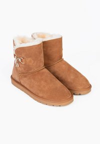 Botas de tobillo de ante marrón con un suave forro de piel, suelas planas y un acento metálico decorativo en el lateral. Textura suave con detalles cosidos.