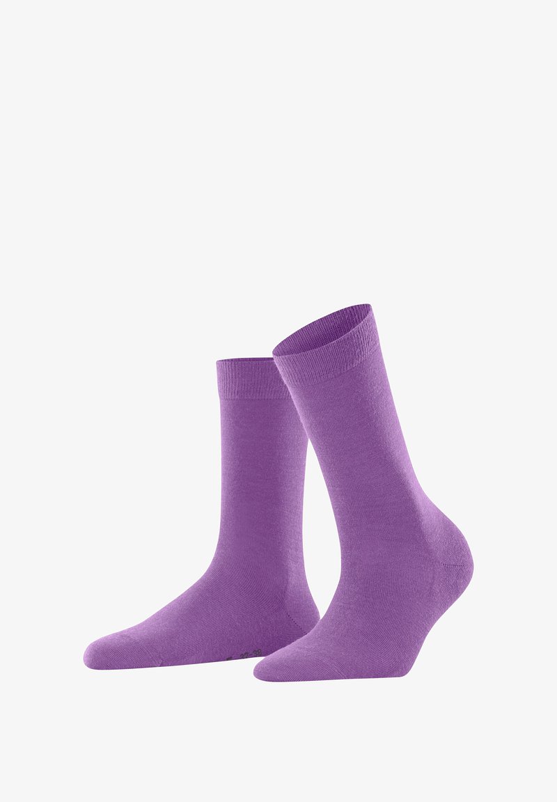 FALKE SOFT - Socken - purple