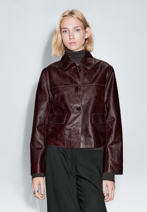 Massimo Dutti Lederjacke - bordeaux