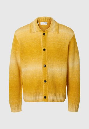 Cardigan in maglia sfumata gialla con scollo a collo, presenta bottoni scuri e polsini e orlo a costine. Texture morbida e forma morbida.