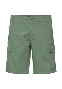 Lichtgroene cargo shorts van katoen met een zachte textuur, voorzien van twee zijzakken en een knoopsluiting aan de voorkant.