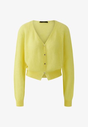 Geel pluizig kort vestje met lange mouwen, V-hals, geribde zoom en manchetten, voorzijde met vier zilveren knopen.