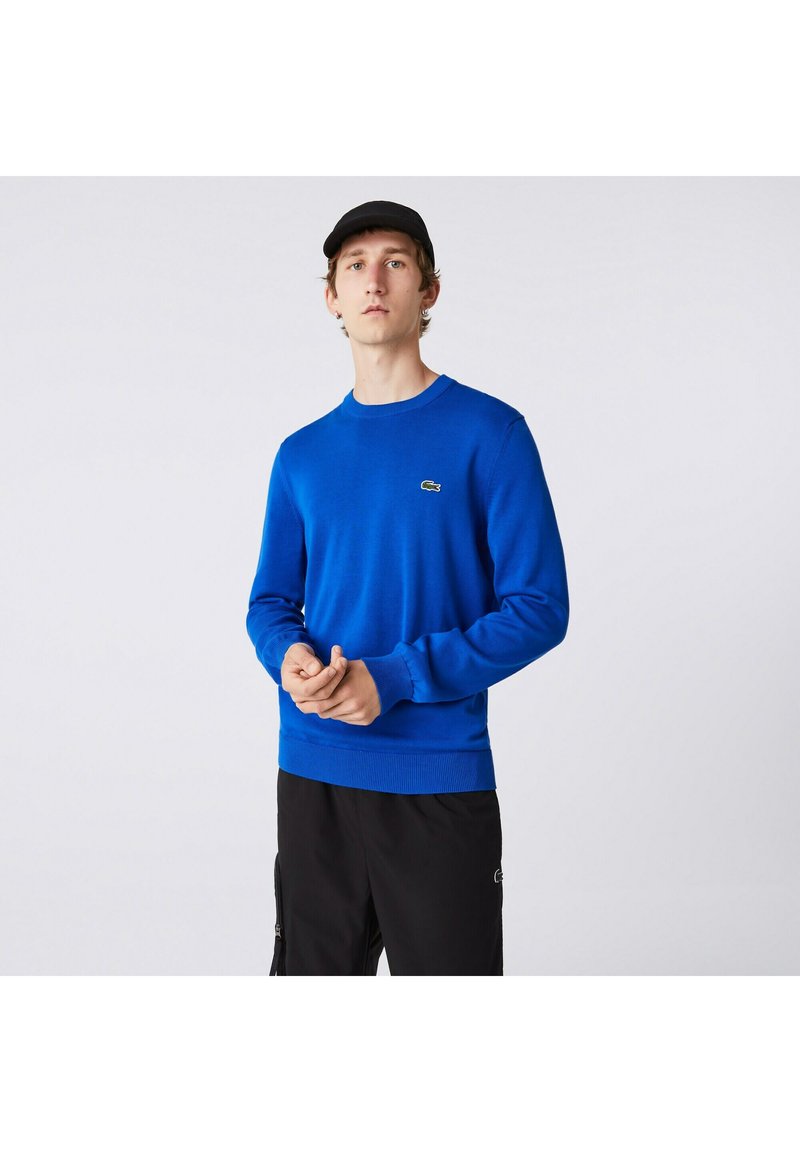 Maglione blu con maniche lunghe e scollatura a girocollo. Caratterizzato da polsini e orlo a coste, e un piccolo logo verde sul petto. Cappellino nero indossato.