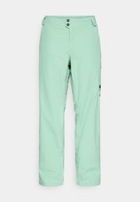 MENS RESERVE PANTS - Snowboard-Hosen - soft sage