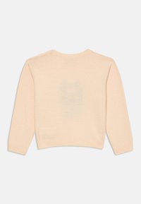 Maglione lavorato a maglia color pesca con maniche lunghe, scollatura rotonda, orlo a coste e un delicato motivo sfumato sulla schiena.