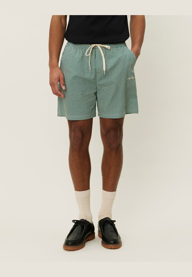 Green and white striped swim shorts with a drawstring waist, side pockets, and a lightweight fabric, paired with black shoes and cream socks.