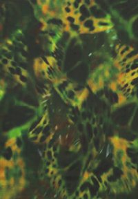 Abstrakt tygmönster med gröna, gula och svarta nyanser, med mjuka texturer och oregelbundna former som påminner om naturliga element.